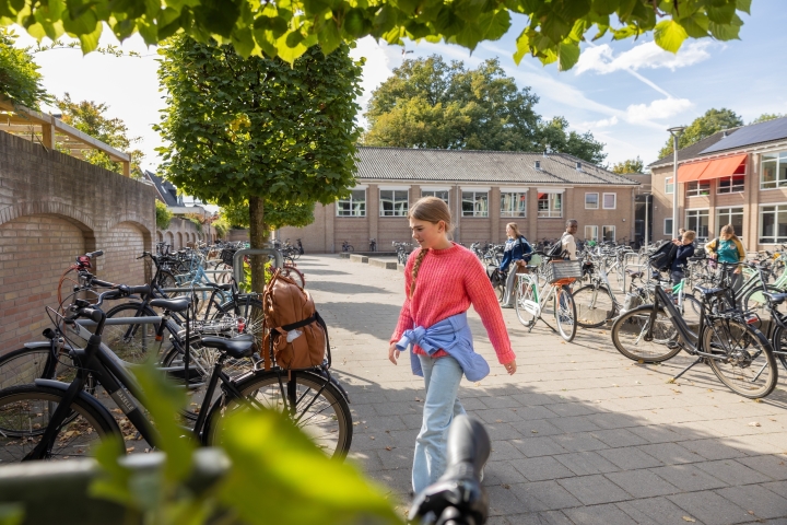 Grundel groep 8 intro